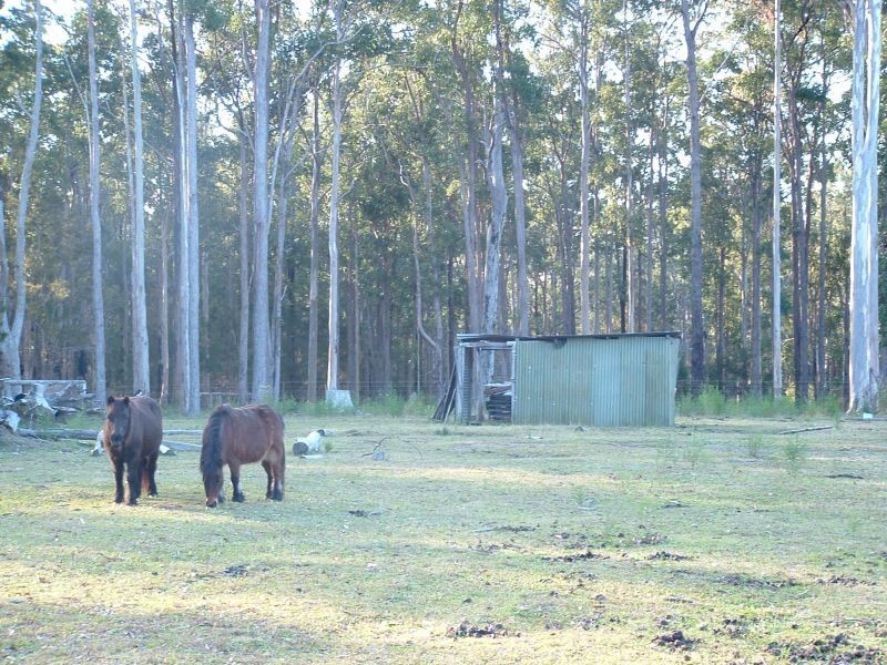 Kundabung NSW 2441