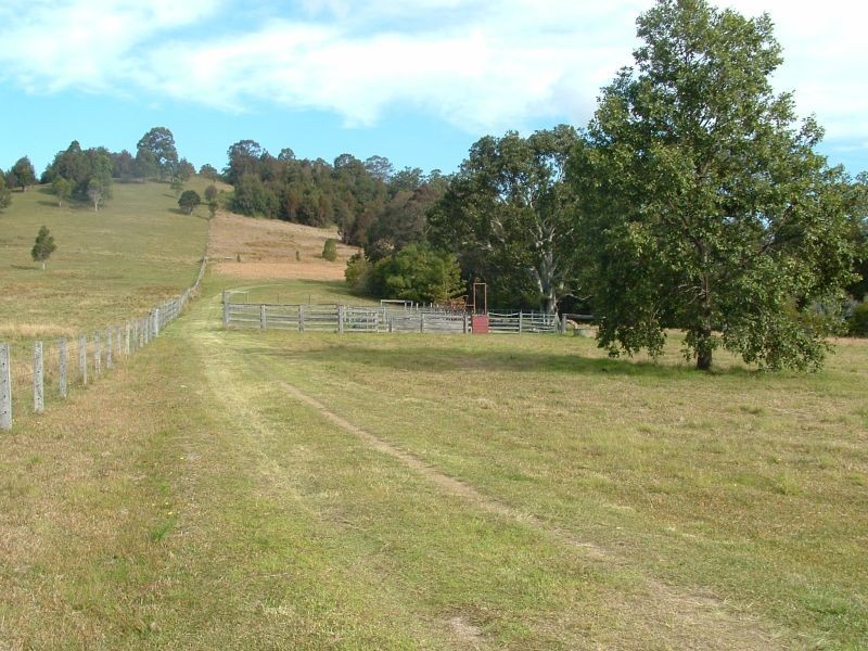 Rollands Plains NSW 2441