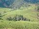 Toorooka NSW 2440