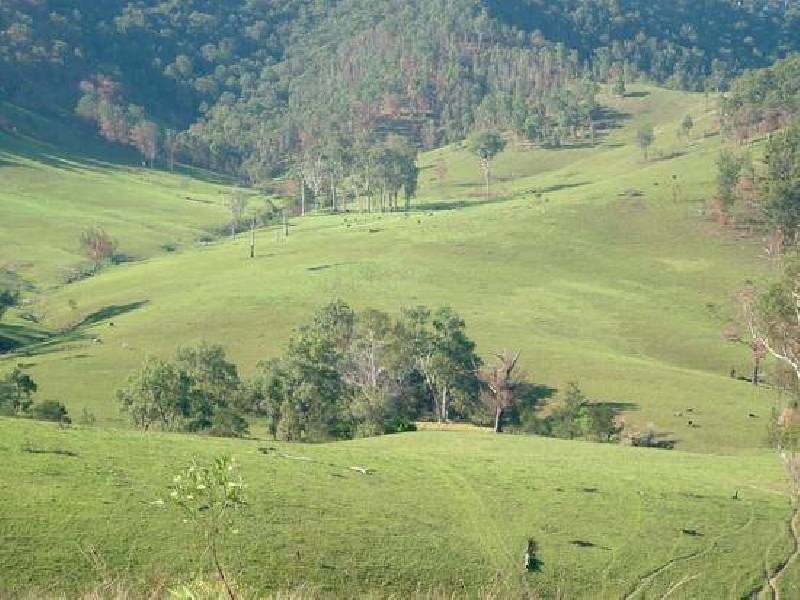 Toorooka NSW 2440