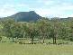 Toorooka NSW 2440