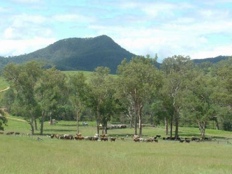 Toorooka NSW 2440