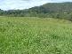 Toorooka NSW 2440