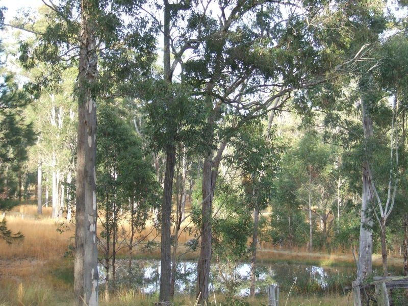 Kundabung NSW 2441