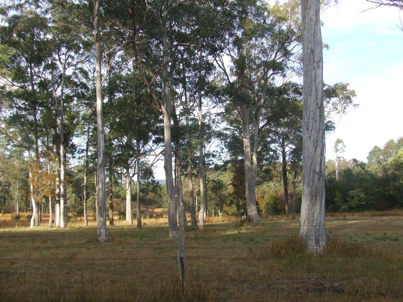 Kundabung NSW 2441