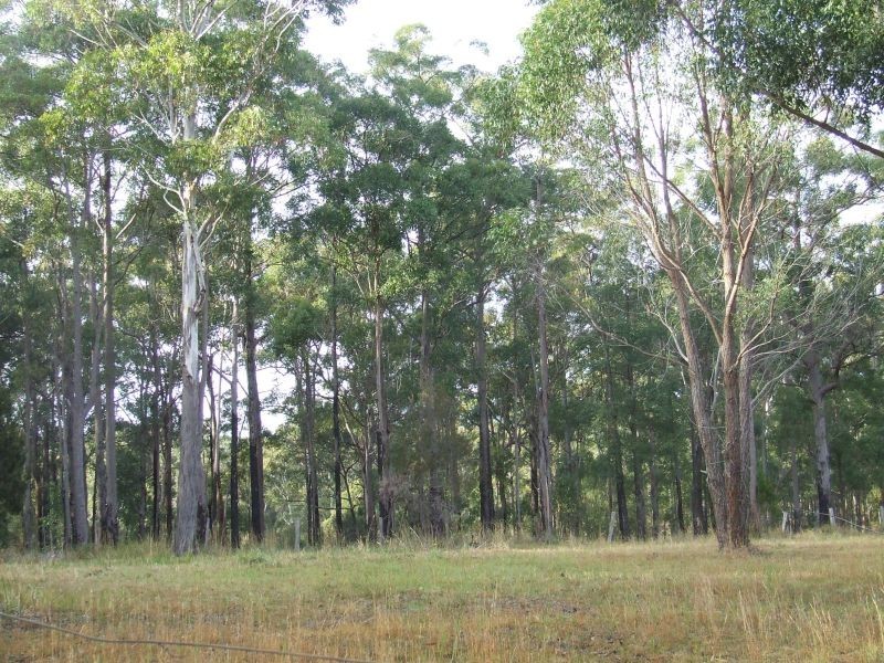 Kundabung NSW 2441