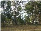 Kundabung NSW 2441