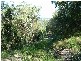 Telegraph Point NSW 2441