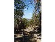 Telegraph Point NSW 2441