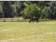 Herons Creek NSW 2443