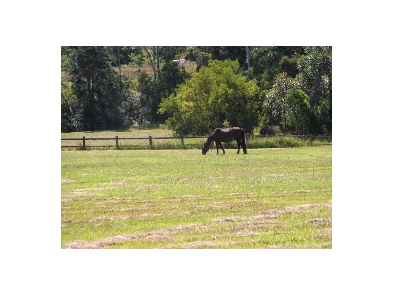 Herons Creek NSW 2443