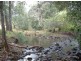 Forbes River NSW 2446