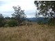 Forbes River NSW 2446