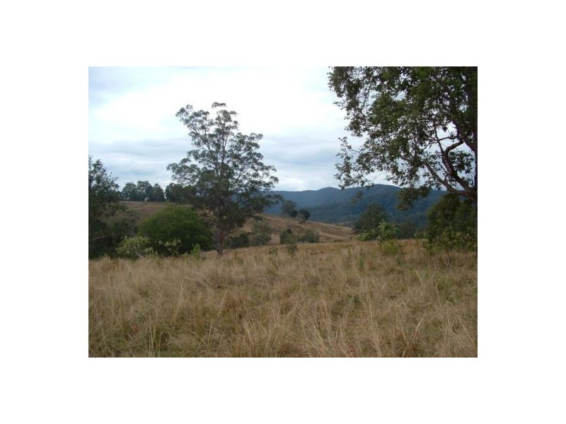 Forbes River NSW 2446