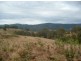 Forbes River NSW 2446