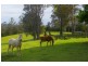 Rollands Plains NSW 2441