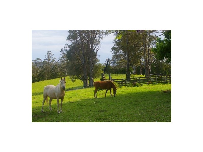 Rollands Plains NSW 2441