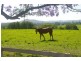 Rollands Plains NSW 2441