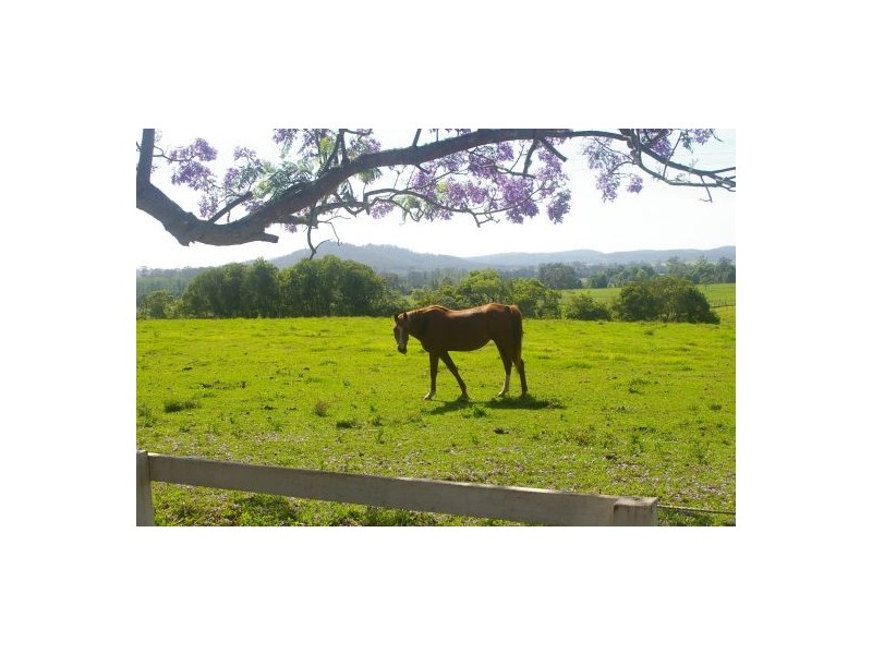 Rollands Plains NSW 2441