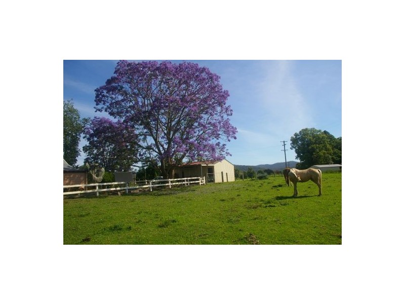 Rollands Plains NSW 2441