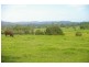 Rollands Plains NSW 2441