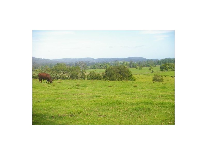 Rollands Plains NSW 2441