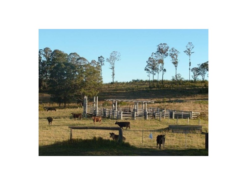 Upper Rollands Plains NSW 2441