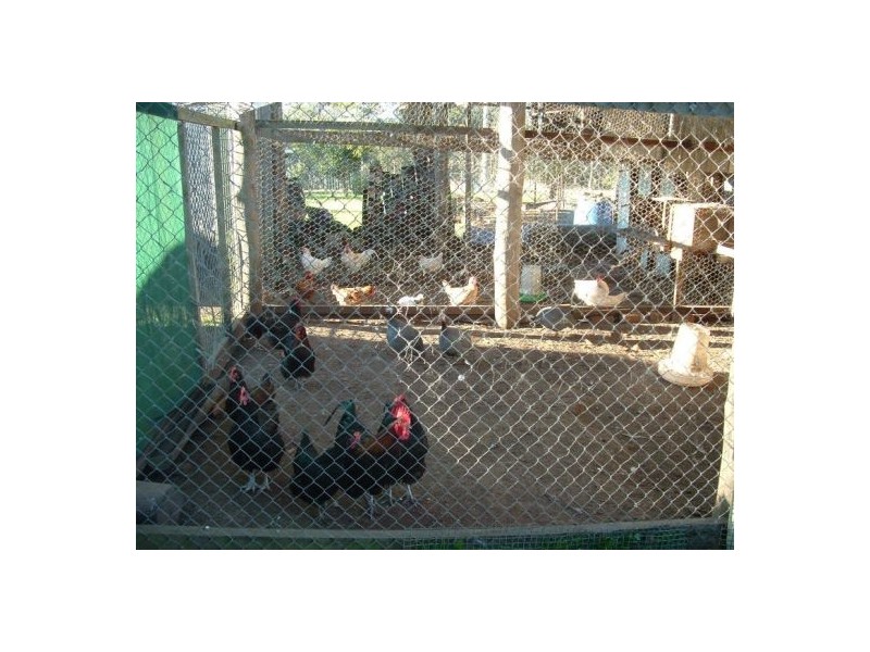 Upper Rollands Plains NSW 2441