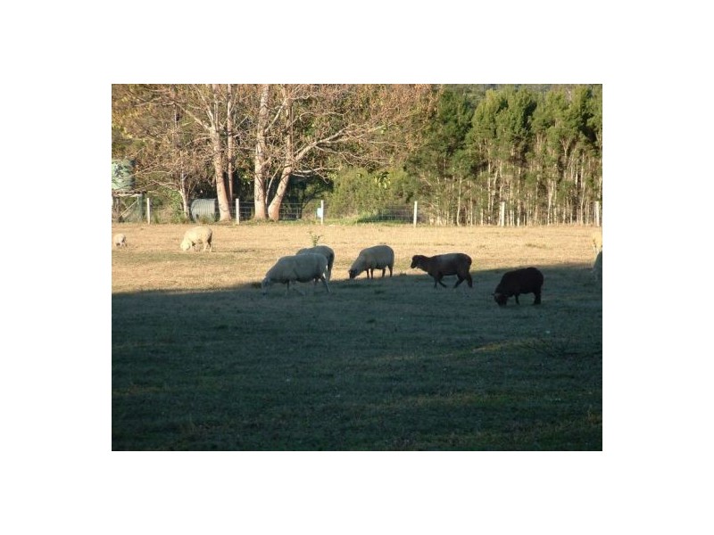 Upper Rollands Plains NSW 2441