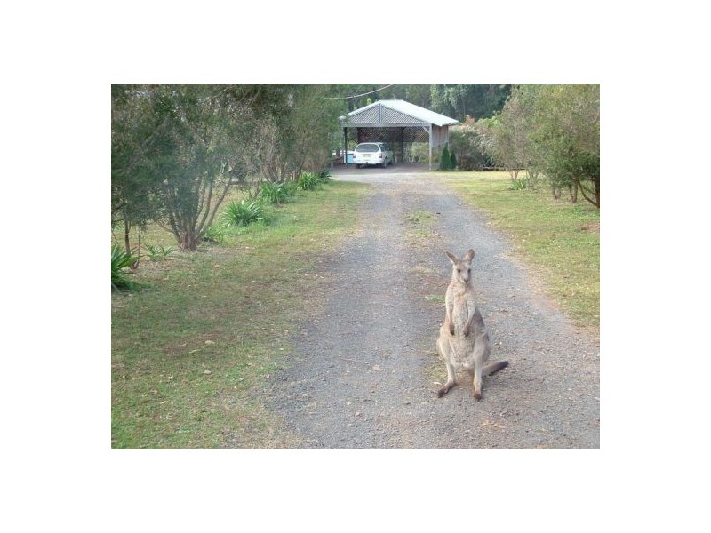 Upper Rollands Plains NSW 2441