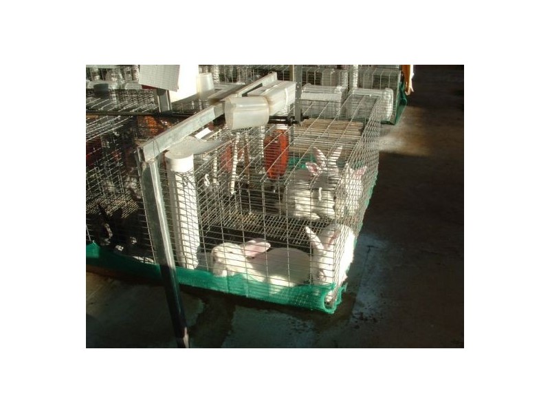 Upper Rollands Plains NSW 2441