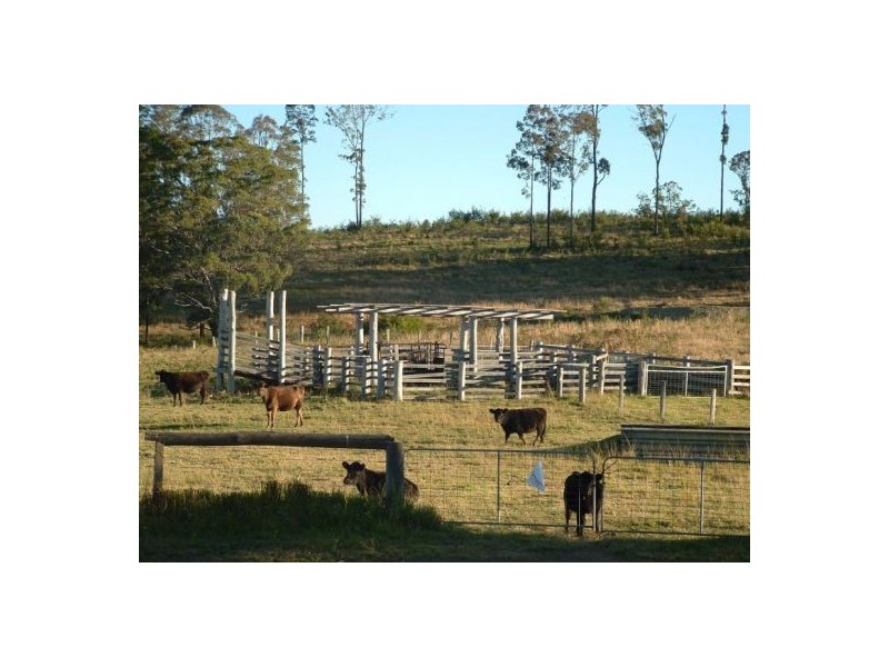 Upper Rollands Plains NSW 2441