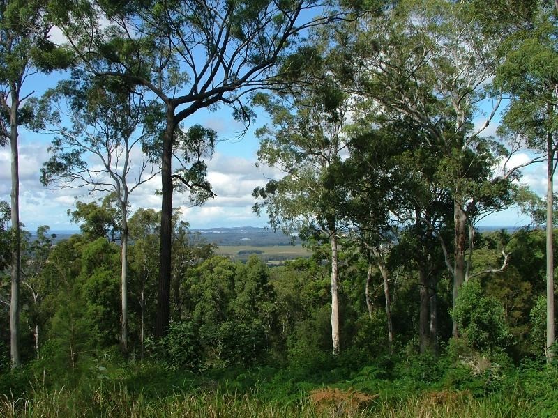 Telegraph Point NSW 2441