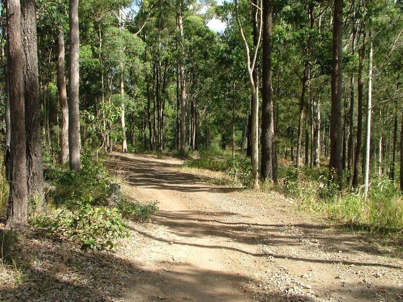 Telegraph Point NSW 2441