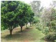 Telegraph Point NSW 2441