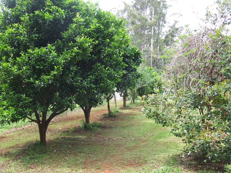 Telegraph Point NSW 2441