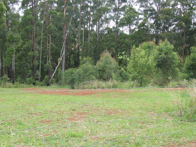 Telegraph Point NSW 2441