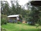Telegraph Point NSW 2441