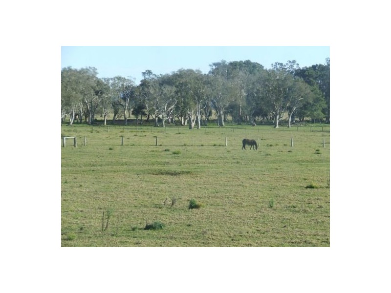 Summer Island NSW 2440