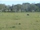 Summer Island NSW 2440