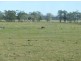Summer Island NSW 2440