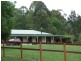 Rollands Plains NSW 2441