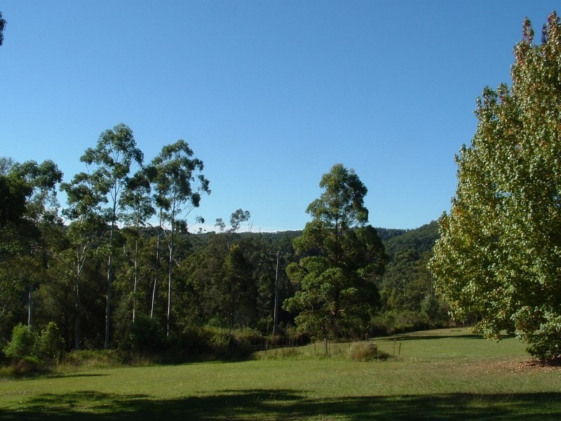 Rollands Plains NSW 2441