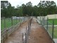 Rollands Plains NSW 2441