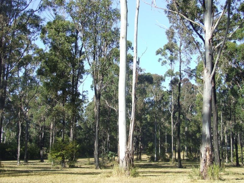 Kundabung NSW 2441