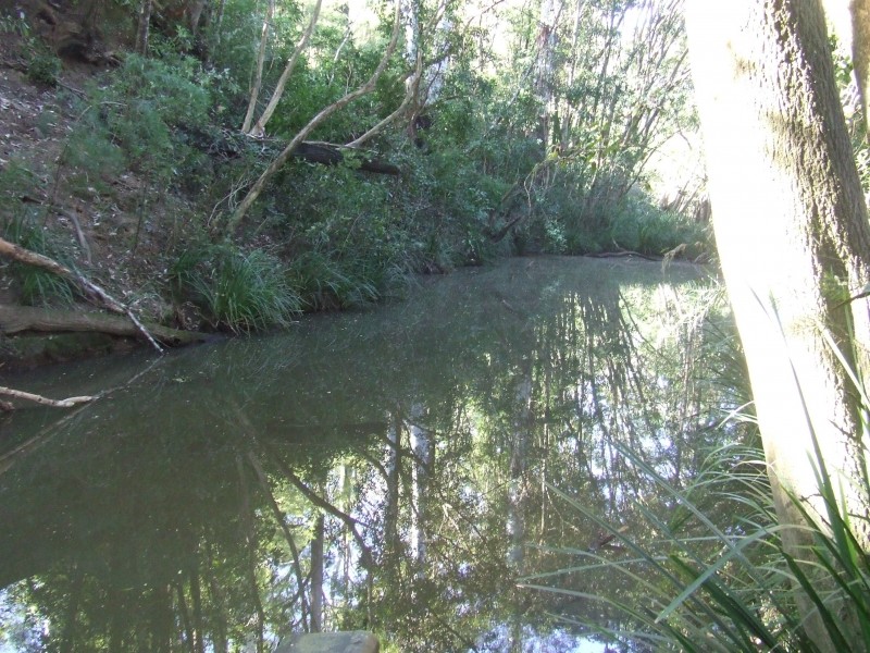 Kundabung NSW 2441