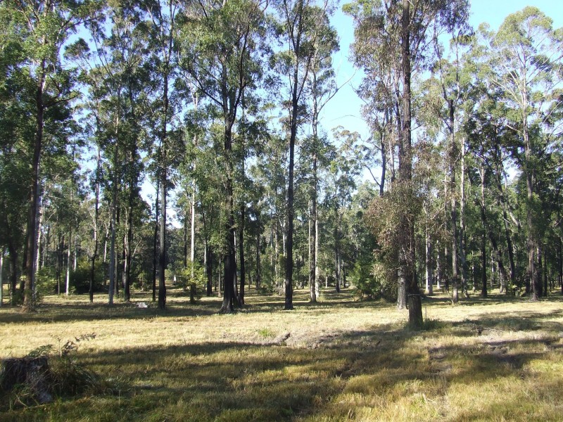 Kundabung NSW 2441