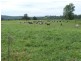 Turners Flat NSW 2440