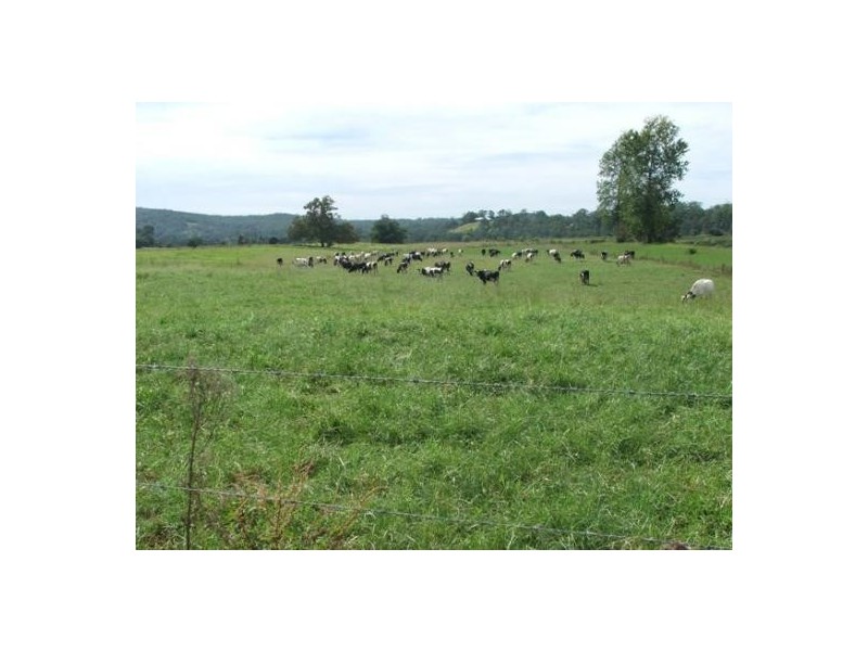 Turners Flat NSW 2440