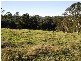 Hannam Vale NSW 2443